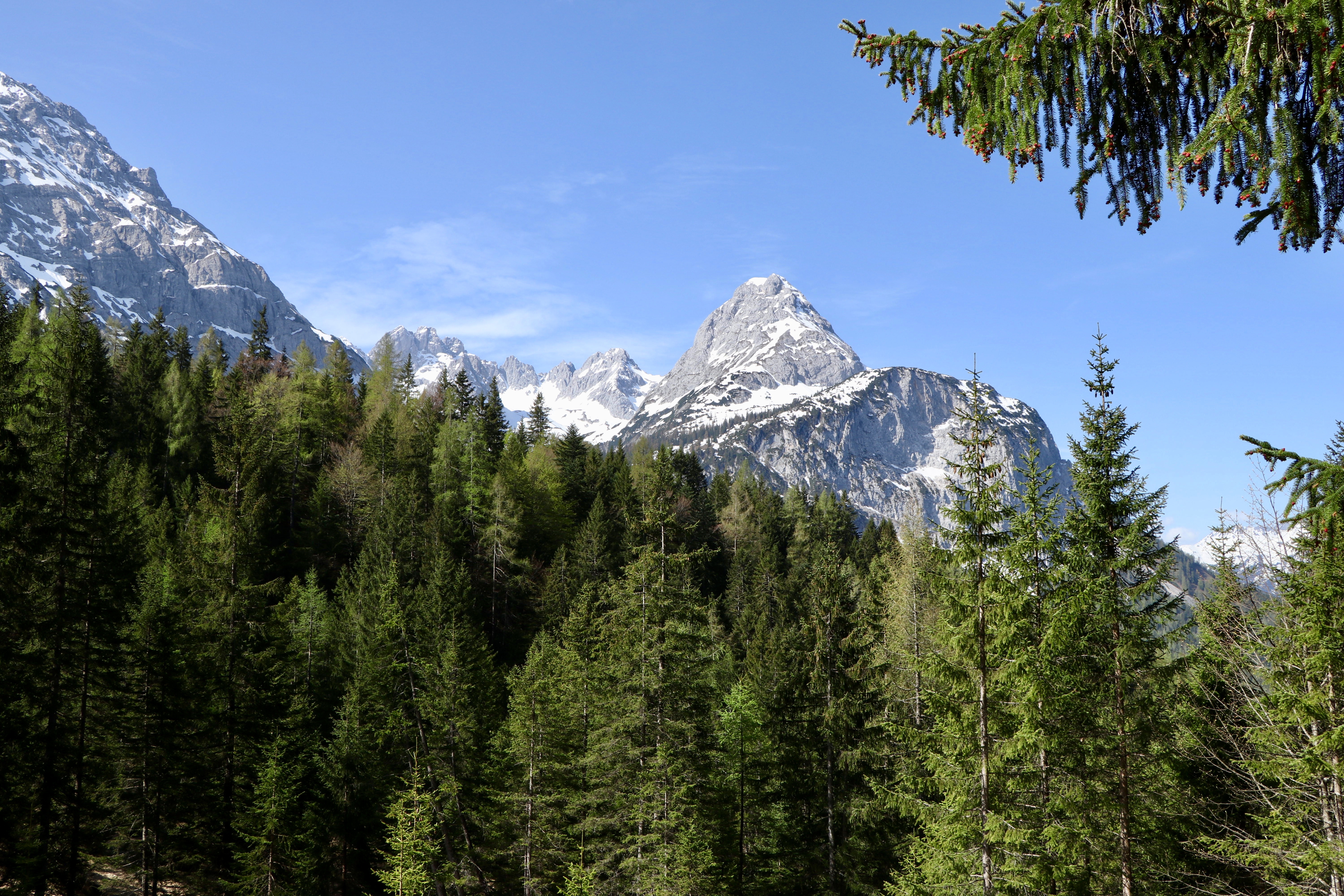 Vysoké Tatry